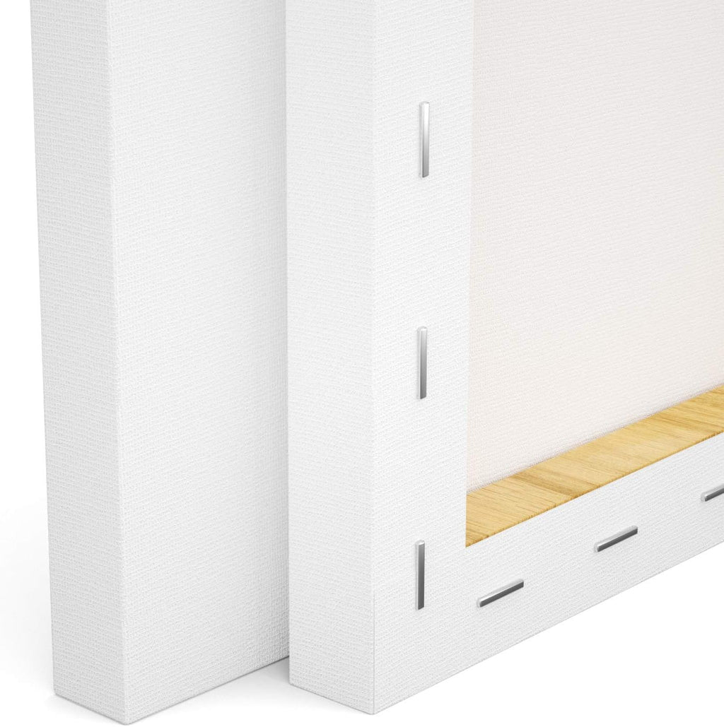 Stretched Canvas, 8X10 Inch Set of 10, Primed White - 100% Cotton Artist Canvas Boards for Painting, Acrylic Pouring, Oil Paint Dry & Wet Art Media
